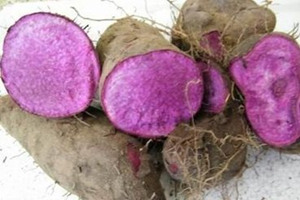 �����Ĺ�Ч������