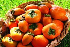 ���ӵ�����