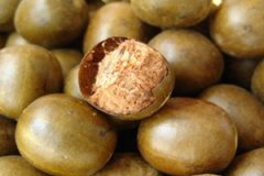 �޺�����ҩ�ü�ֵ����Щ �޺�����������Ⱥ