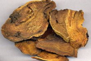 ����ƵĹ�Ч������