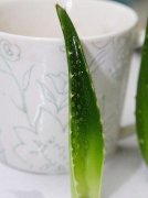 ����OL�����·��� «�����������Ƽ�