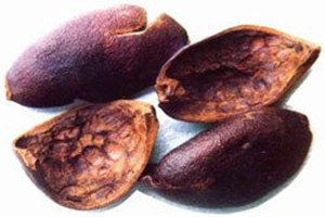 石榴皮的作用及禁忌