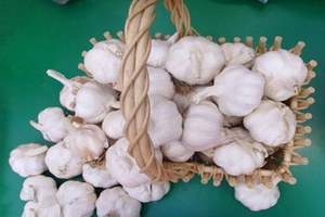 ���ⲻ�ܺ�ʲôһ���