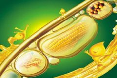 ������ѿ�͵Ĺ�Ч�����ü�ע���������Щ