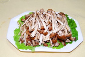 �������Ĺ�Ч������