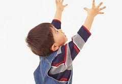 С��ƶѪʳ�� С��ƶѪ��ʲô