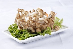 蟹味菇的营养价值