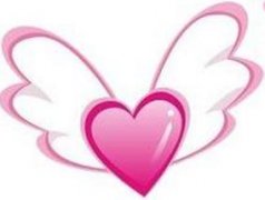 ��������Ҫ����֮�����һ��Ŧ��