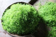 �ʹ����Ĺ�Ч �Ƚʹ������Բ��԰�����