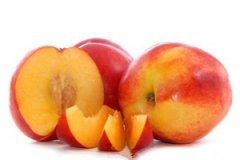 ���ҵ�Ӫ����ֵ��ʲô ���ҵ�ʳ�ý���