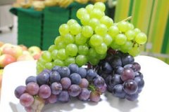 ���ѵĹ�Ч����������Щ ���ѵĴ洢