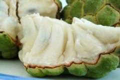 ���ȵ�Ӫ����ֵ��ʲô ���ȵ�ҩ�ü�ֵ