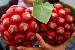 ��������ô��