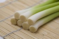 �а׵�������ʲô �а׿����θ�ð��