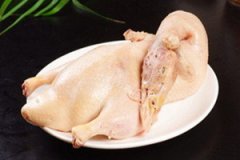 Ѽ���Ӫ����ֵ��ʲô Ѽ���ʳ����������Щ