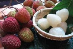 ��֦�Ĺ�Ч�����ü����� ��֦��ʳ�÷���