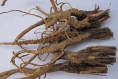 ����Ĺ�Ч������ ��������θ�ð������