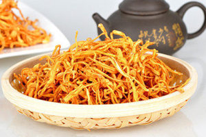 虫草花的功效与作用