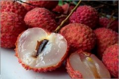 ��֦�Ĺ�Ч����������Щ ��֦��������������