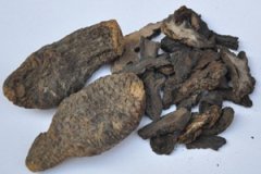 �����ص�ҩ�ü�ֵ����Щ �����ص�������Ⱥ