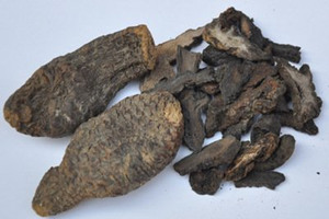 �����ص�ҩ�ü�ֵ