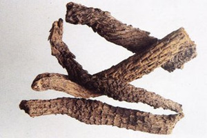 肉苁蓉的食用方法