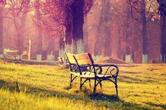 �＾��ʳ����С��ʶ���� ���ұ�������