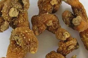 黄精的功效与作用