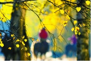 �＾����С��ʶ