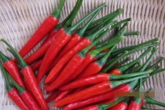 ���콷�Ĺ�Ч��������ʲô ���콷��ʳ�ý���