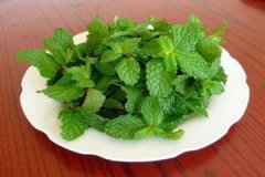 ���ɵĹ�Ч�����ü����� ���ɵ�Ӫ����ֵ