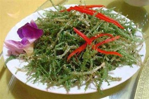 ¹�ǲ˵Ĺ�Ч������