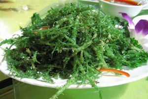 鹿角菜的营养价值