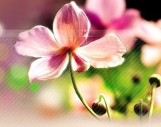 Ů����� ������Լ����������