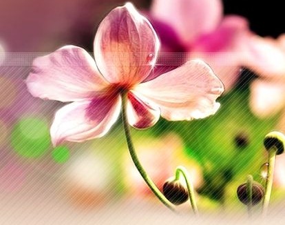 Ů�����������Լ�������