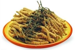 ��ݵĹ�Ч����������Щ ��ݿ�������