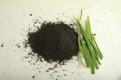 �²��ѵĹ�Ч������ �²��ѵ�ʳ�÷���