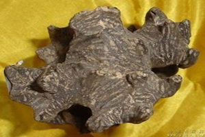 ����Ĺ�Ч������