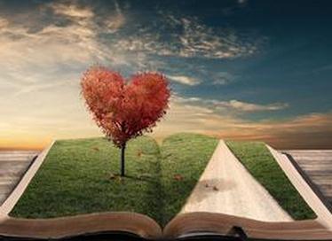 2015����ʮ�������Ƽ�