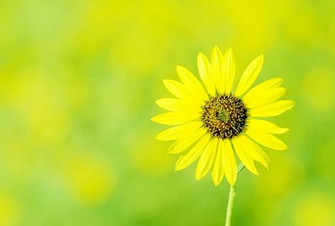 ���ڷ�ѧ������¼��ѡ�Ƽ�