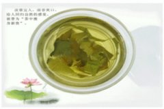 ��Ҷ��ĸ�������ʲô ��Ҷ���������Ⱥ