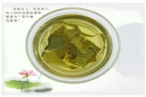 荷叶茶的副作用