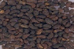 Ů���ӵĹ�Ч������ Ů���ӵ�ʳ�÷���