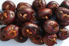 ����Ĺ�Ч��������ʲô ����ı��淽��