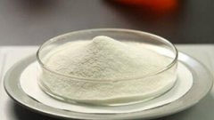 ��ԭ����ʲôʱ������ ��ԭ����ʲôʱ���