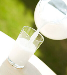 ţ����Ĥ������������ ţ����Ĥ��ô��