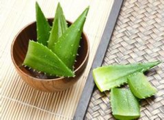 ���������� ����������С����