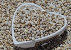 �������Ʋ�ˮ��Ĥ ��������������Ĥ