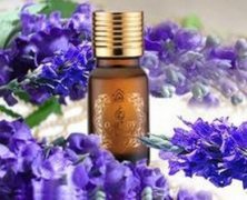 ޹�²ݾ���ȥ��ӡ ޹�²ݾ�����ô��