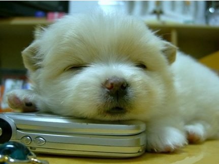 减肥睡的越多越好吗 睡觉减肥法推荐